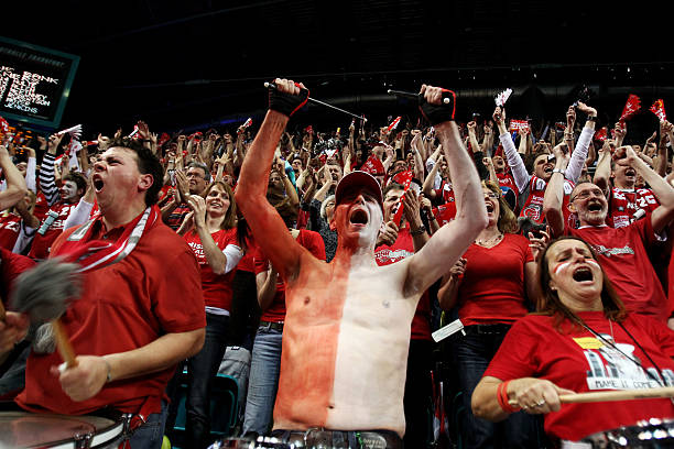 的华丽亮相 的华丽亮相